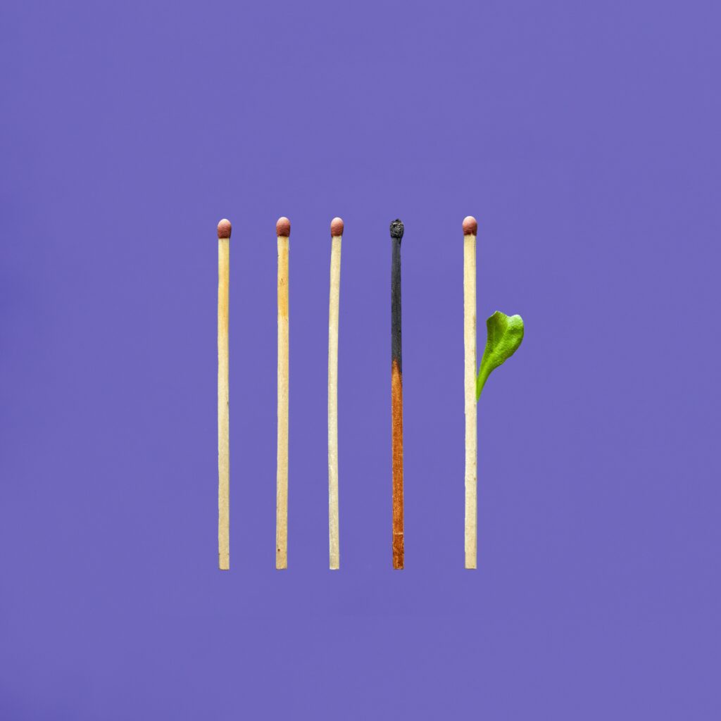 Photo of matches, three tips burned, one matchstick burned, one whole with a leaf growing from it to represent hope from burnout.