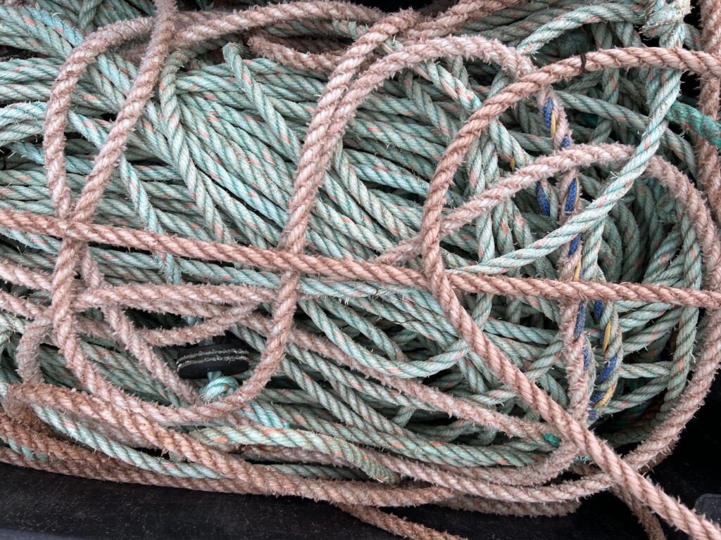 Tangled Ropes Photo by Malcolm Burrows