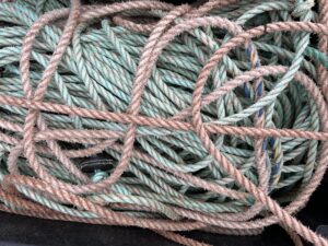 Tangled Ropes Photo by Malcolm Burrows